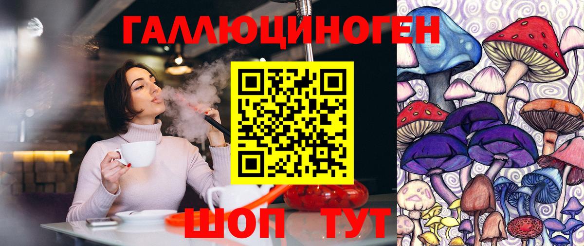 где можно купить наркотик  Псилоцибиновые грибы ЛСД  Вход с VPN  Элиста 