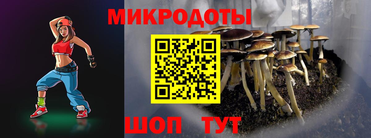 Псилоцибиновые грибы мухоморы Элиста