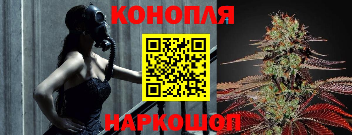 Шишки марихуана ГИДРОПОН  Вход с VPN  Шишки марихуана семена  Каннабис план  МАРИХУАНА индика  Элиста 